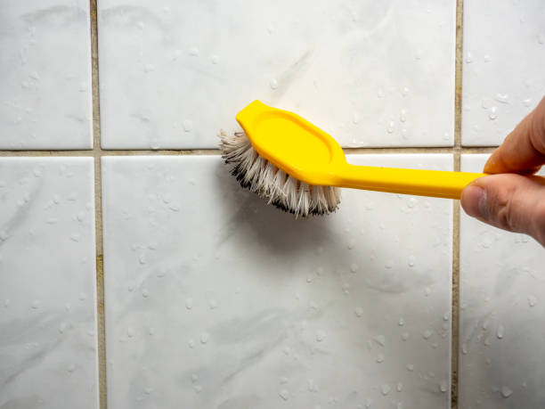 Best Mold Removal Company Near Me  in Reading, MI
