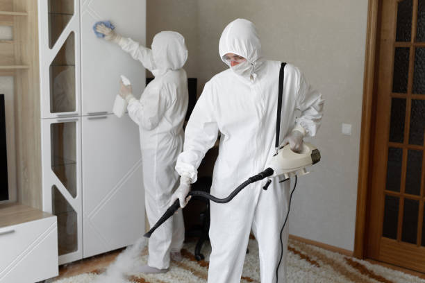 Best Toxic Mold Removal  in Reading, MI