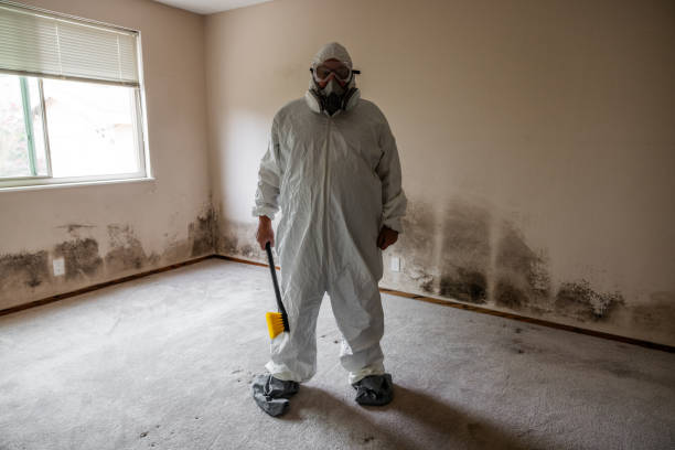 Best Professional Mold Removal  in Reading, MI